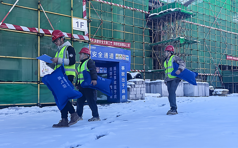 ѩԭļبO˾޹ Ŀѩʵ