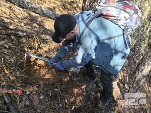 博天堂(918)官方网站 - 让你更精彩
